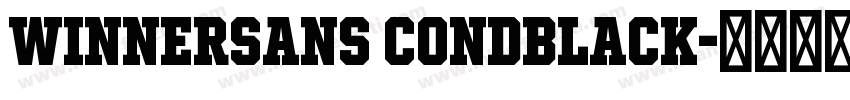 WinnerSans CondBlack字体转换